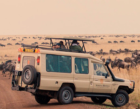 2-days-1-night-masai-mara-safari-package