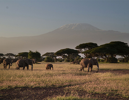 3-days-2-nights-amboseli-safari-package