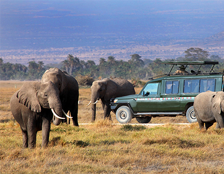 3-days-2-nights-masai-mara-safari-package