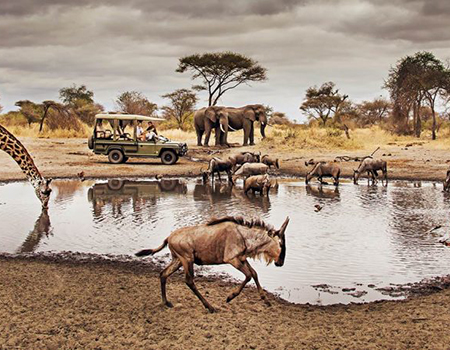 3-days-2-nights-serengeti-national-park-safari-package