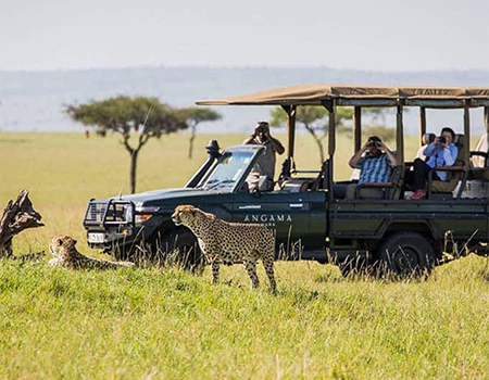 4-days-3-nights-masai-mara-nairobi-migration-safari-package