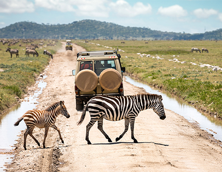4-days-3-nights-ngorongoro-crater-serengeti-safari-package
