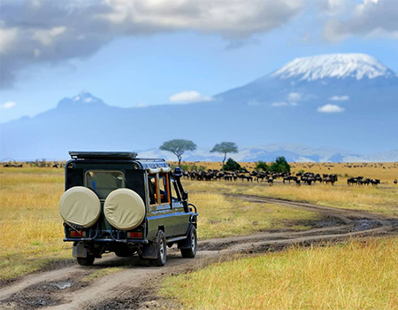 5-days-4-nights-amboseli-lake-naivasha-masai-mara-nairobi-safari-package