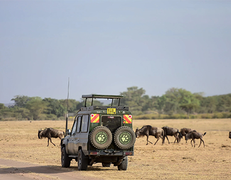 7-days-6-nights-tsavo-west-tsavo-east-amboseli-lake-naivasha-masai-mara-safari-package